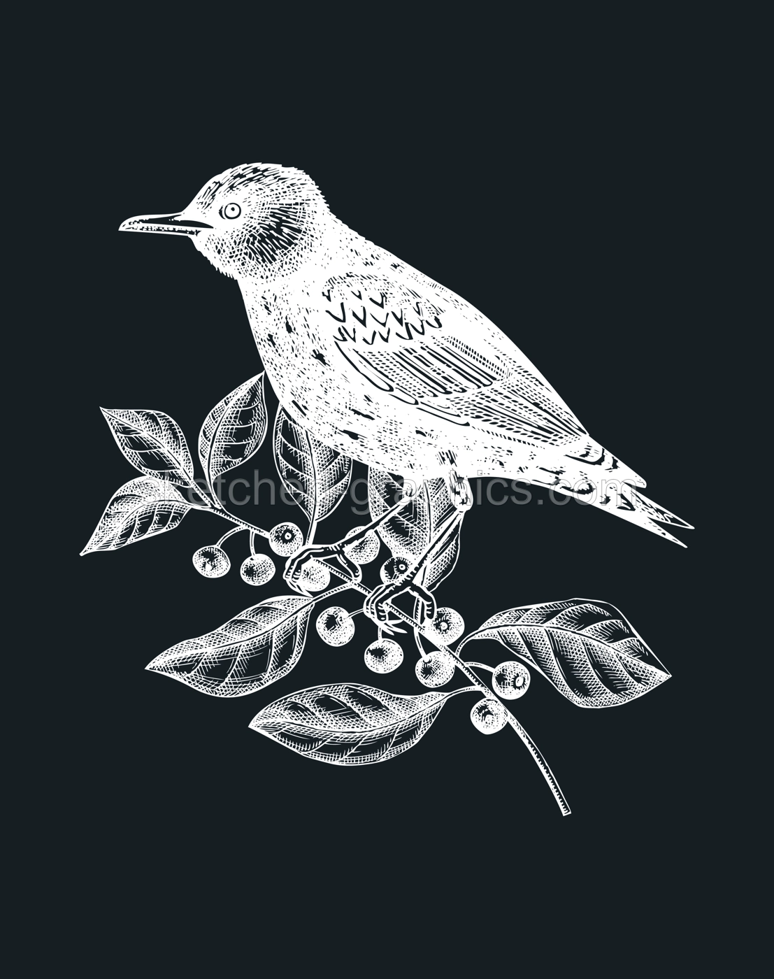 Hand-sketched bird with autumn flowers illustration on chalkboard. Fall design with birds, florals, geometric shapes, and abstract elements. Can be used for print, poster, wall art, social media Illustration